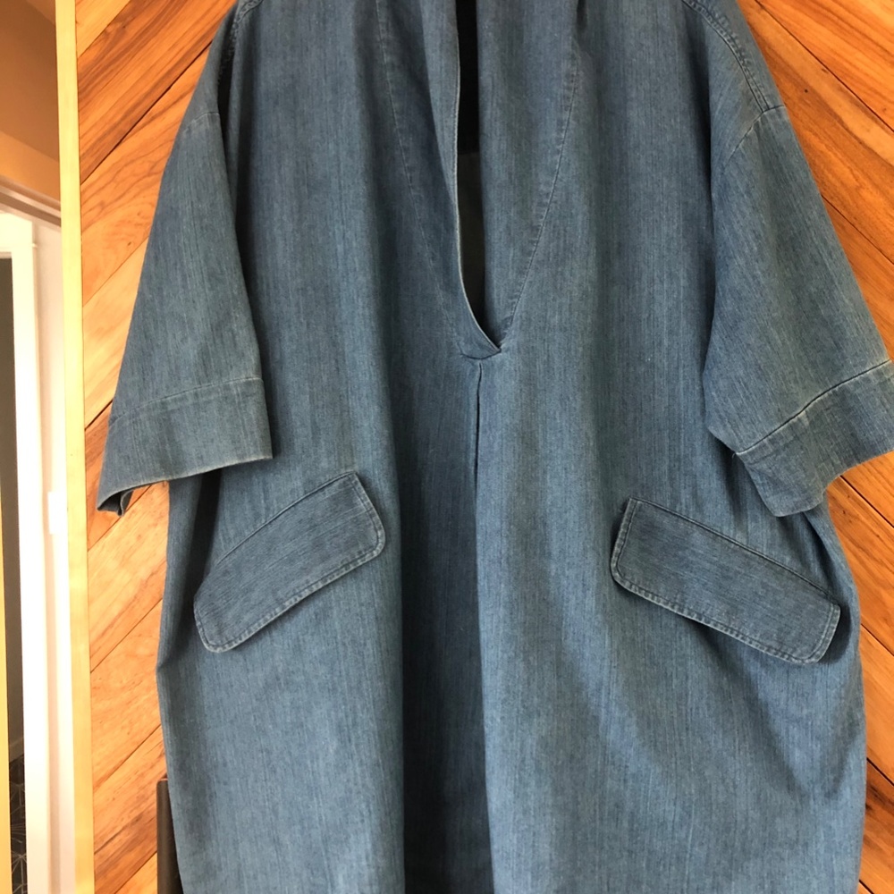 Rachel Comey Tobes dress in Chambray